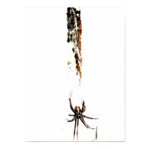 black widow posters by iiiyaaa black widow posters