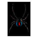 Black Widow Spider Poster posters