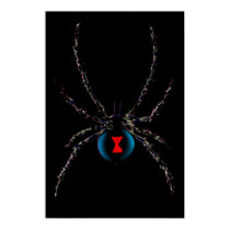Black Widow Spider Poster posters