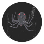 Black Widow Black Widow