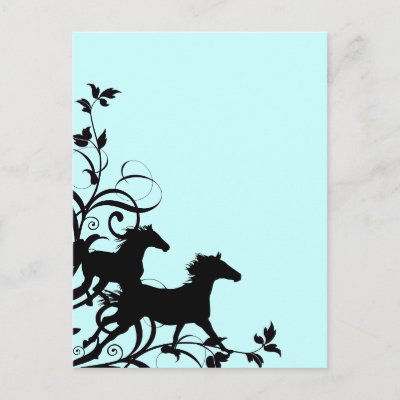 Black Wild Horses Post Cards
