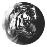 Black & Wild Tiger Head Stickers