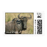 Black Wildebeest Stamps