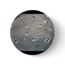 Black-winged stilt buttons