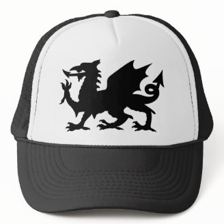 Dragon Sports Wales