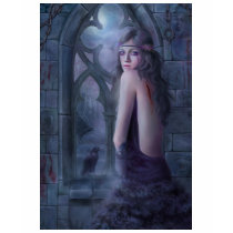 wing, gothic, dark, window, woman, cry, eyes, crow, raven, Shirt with custom graphic design