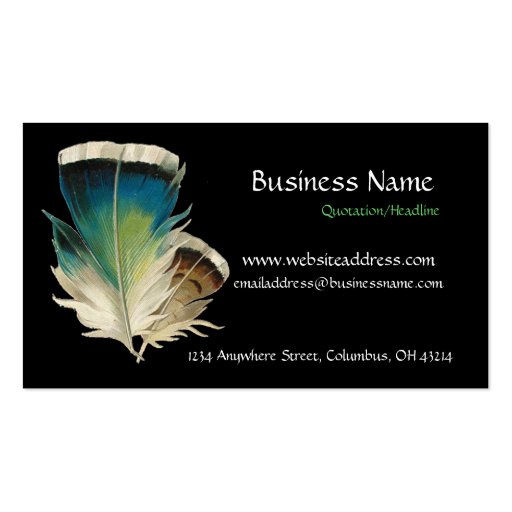 Black with Feathers Business Card (front side)