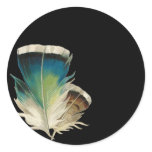 Black with Feathers Stickers