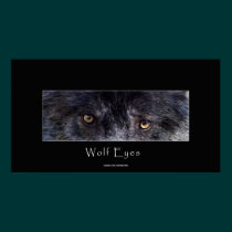 Black Wolf Eyes Wildlife Poster posters