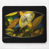 BLACK WOLF mousepads by gregorygallo BLACK WOLF mousepads