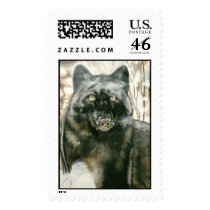 "Black Wolf" postage