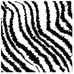 Black Zebra Print Pattern. Acrylic Cut Outs