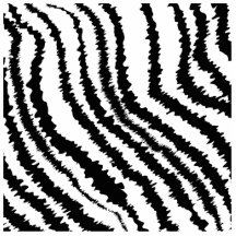 Black Zebra Print Pattern. Acrylic Cut Outs