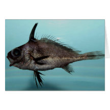Blackbar Drum Greeting Card