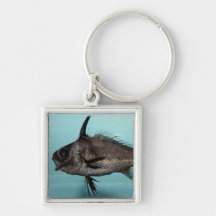 Blackbar Drum Key Chains