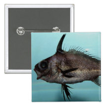 Blackbar Drum Pinback Button