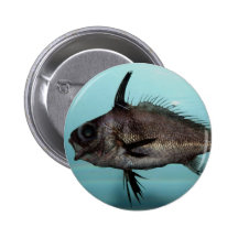 Blackbar Drum Pinback Buttons