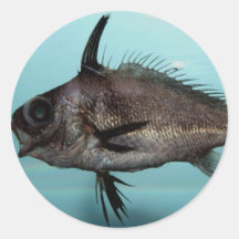 Blackbar Drum Round Sticker