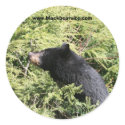 blackbear sticker by michaelcyr1234 blackbear sticker