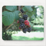 Blackberries (1) Mousepad