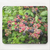 Blackberries (2) Mousepad mousepads