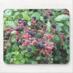 Blackberries (3) Mousepad