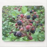 Blackberries (4) Mousepad