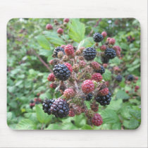 Blackberries (4) Mousepad mousepads