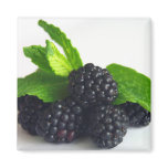 Blackberries and Mint Fridge Magnet