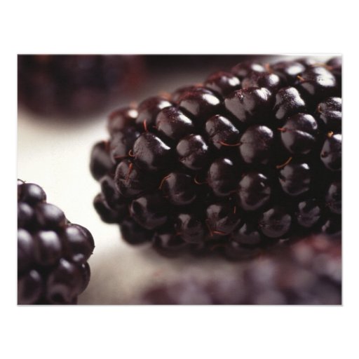 Blackberries Announcements