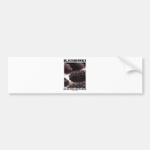 Blackberries Are Red When They're Green Bumper Sticker