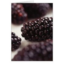 Blackberries cards