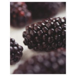 blackberries, blackberry, black berries, berries,