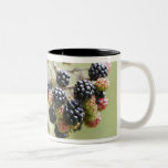 Blackberries growing outdoors. mug