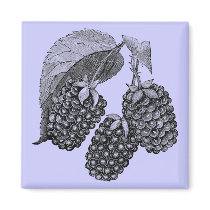Blackberries magnets