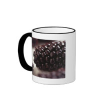 Blackberries Mug