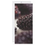 Blackberries Custom Rack Cards