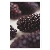 Blackberries Stationery Paper