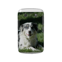 Blackberry Bold Case - Customized