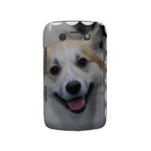Blackberry Bold Case - Customized