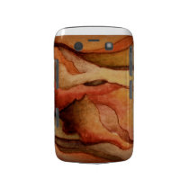 Blackberry Bold- Sonoran Desert Sunset Blackberry Bold Case