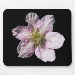 Blackberry flower ~ mousepad