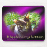 blackberry kitten mouse mat