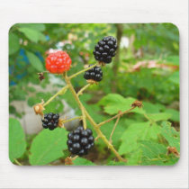 blackberry mousepad