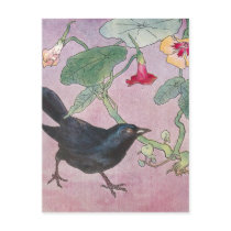 Blackbird and Nasturtiums postcards