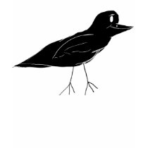 Blackbird Apparel t-shirts by bchrisdesigns Blackbird Apparel t-shirts