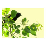 Blackbird ATC business cards