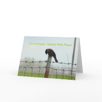 Blackbird Bowed, Life Is Fragile: Handle With P... Greeting Cards