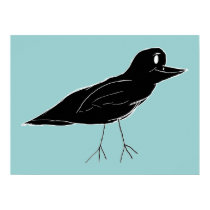 Blackbird Canvas Print posters