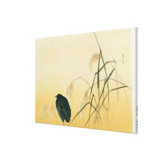 Blackbird, Edo Period Stretched Canvas Print